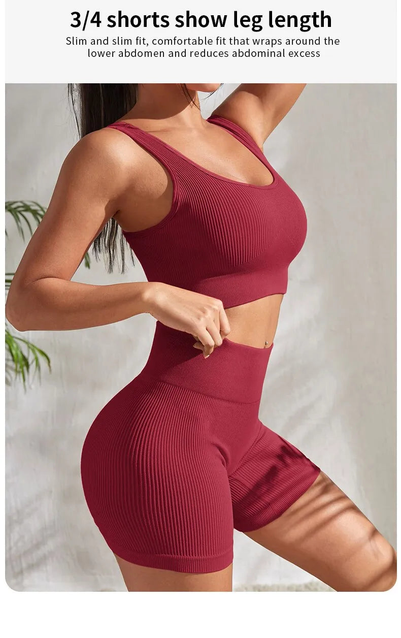 Seamless Ribbed 2 Piece Workout Set Shorts And Crop Top